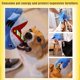 thumbnail image 4 of Juguete de peluche chirriante para perros, divertido juguete de cuerda de peluche para perros pequeños y medianos, lindo juguete para masticar para la dentición de cachorros para entrenamiento, 4 of 8