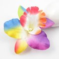 thumbnail image 5 of unbranded 10Ud Clips Para Con Phalaenopsis Decorativas Para Fiestas Y Sesiones Fotográficas, 5 of 5