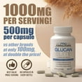 thumbnail image 2 of Glucan Elite – 85% Beta 1,3D Glucan 500mg | 85% Minimum Active 1,3 Linkage Ultra-Potency Beta Glucan – Highest Bioavailability with BGF-Immune | Pack of 3 (180 total veggie caps), 2 of 6