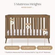 Delta Children Essex 4-in-1 Convertible Crib - Greenguard Gold Certified - Converts from Baby Crib to Toddler Bed, Daybed and Sofa Bed, Fits Standard Full-Size Crib Mattress, Chestnut