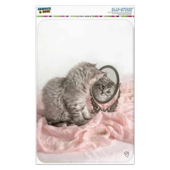 Siberian Cat Kitten Mirror Fairest Of Them All Home Business Office Sign