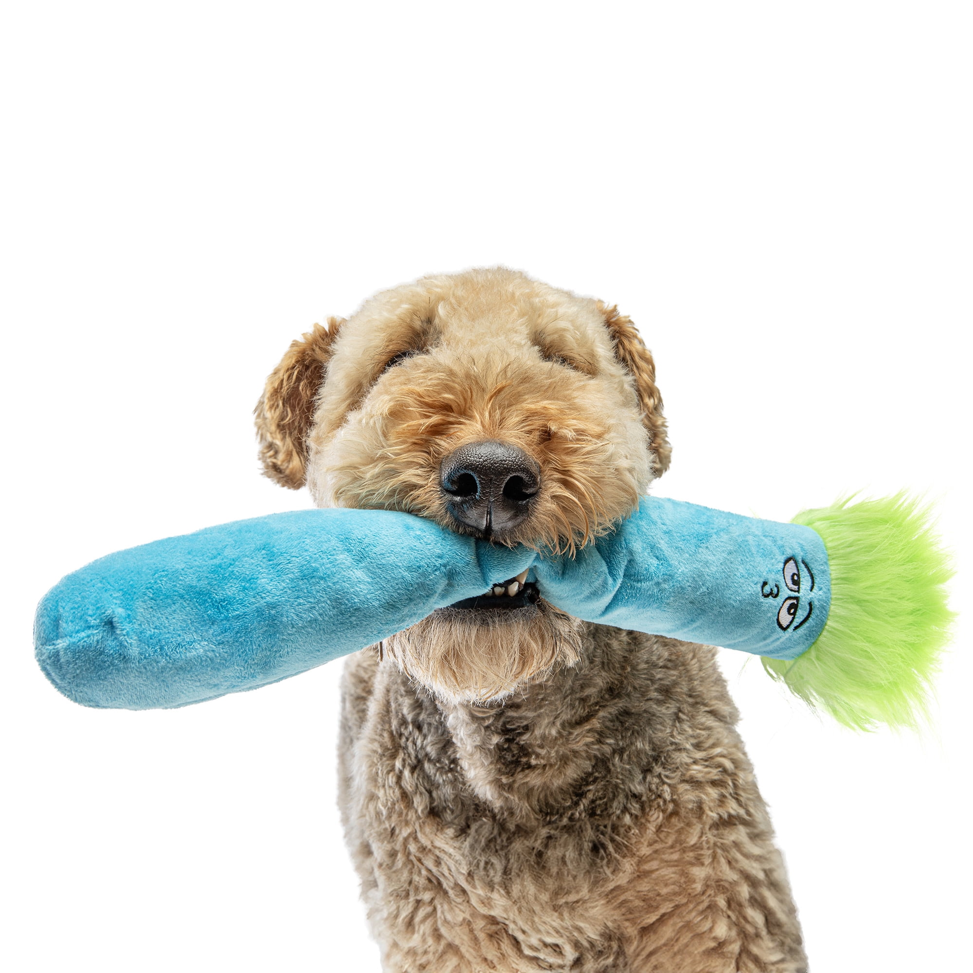 GURU Pet: Fry Guy: 5 Piece Set - Large - 4 Plush Dog Toys w/ Holder, Squeaks & Crinkles, Fry Shape Characters, Durable Fabric, Chew-Fetch-Thrash-Play