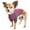 MultiColor, variant on Pet Life ® Active 'Barko Pawlo' Relax-Stretch Quick-Drying Performance Dog Polo T-Shirt
