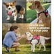 thumbnail image 4 of Dog Harness,NoPull Service Dog Harness with Handle,Adjustable Comfort Pet Dog Vest, 4 of 5