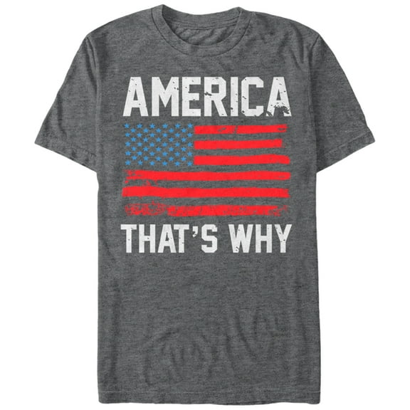 Men's Lost Gods Fourth of July America That's Why Graphic Tee Charcoal Heather X Large