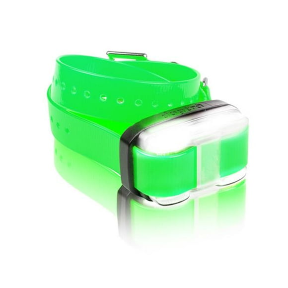 Dogtra EDGE-RX-GRN EDGE 1 Mile Extra Collar Green