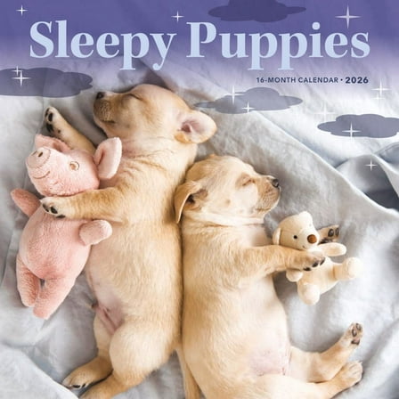 Carousel Calendars, Sleepy Puppies 2026 Mini Wall Calendar