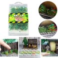 thumbnail image 3 of DIY MINI Materiales Scenicería Estática Modelo De Hierba Tufts Para Tren 05 CUTICAT Micro paisaje de hierba, 3 of 8