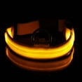 thumbnail image 4 of HLONK Luminous Bite Resistant LED Dog Collar Tear-resistant and Adjustable Safety Accessory for Pets, 4 of 9