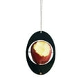 Feed quail solar feeder snowman baby chick brooder plate skewers for