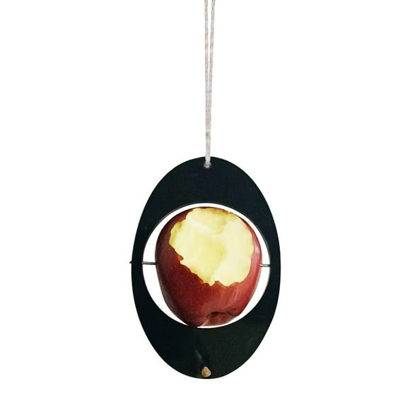 DHGDJ54G Border New Suspended Fruit Bird Feeder Eco Recycled Bird Feeder Hummingbird Feeder Outdoor Cover Heated Hummingbird Feeders