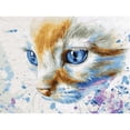 thumbnail image 1 of Taladro Diamante Pintura (DE4059) 5D DIY Kit de mosaico de punto de cruz de gatito completo (LD121) 40x50cm FLhrweasw Nuevo, 1 of 1