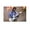 Unframe-style, variant on Daniel Caesar Poster (5) Room Aesthetic Poster Print Art Wall Painting Canvas Posters Gifts Modern Bedroom Decor 08x12inch(20x30cm)