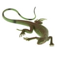 thumbnail image 4 of Xingzhi Simulation Animal Model Kids Educational Toys lizard PL127-1334, 4 of 5