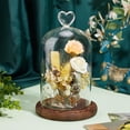 thumbnail image 5 of Large Glass Cloche Glass Display Dome 4.8x7.8 inch Heart Handle Bell Jar Display Case with Vintage Wood Base for Flowers Plants Party Home Decor Crafts Keepsakes Display, 5 of 6