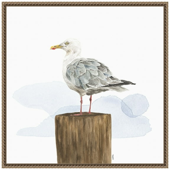 Amanti Art Birds of the Coast on White IV Framed Canvas Wall Art Print