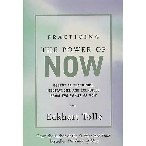 Pre-Owned Practicing the Power of Now: Meditations, Exercises, and Core Teachings for Living the Liberated Life (Hardcover) 1577311957 9781577311959