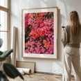thumbnail image 4 of California Blooms - Los Angeles California Photography Floral Flowers Botanical Nature Tropical Scenic Pastel Unframed Wall Art Print 40 x 60 inches, 4 of 81