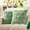 Mint Green, variant on Throw Pillow Covers 18x18 Inch, Embroidered Decorative Square Pillowcases, Farmhouse Holiday Cushion Covers for Couch Sofa Living Room Bedroom Outdoor Home Decor