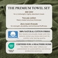 thumbnail image 3 of Great Bay Home Quick Dry Loop Textured 6-Piece Towel Set, Forest Green, 3 of 6