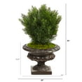 thumbnail image 3 of Nearly Natural 30" Cedar Artificial Tree in Iron Colored Urn (Indoor/Outdoor), 3 of 5