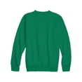 thumbnail image 2 of Hanes Boys EcoSmart Fleece Crew Neck Sweatshirt, Sizes XS-XL, 2 of 5