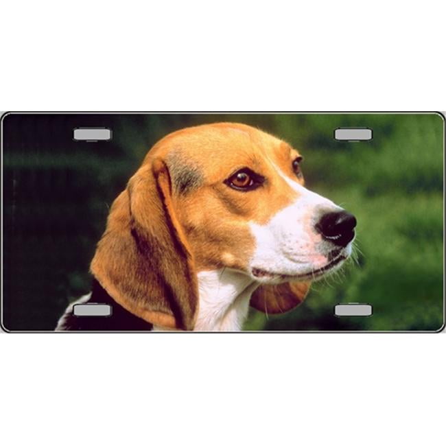 Beagle Dog Photograph Metal Novelty License Plate Tag Sign Smart Blonde LP-2157