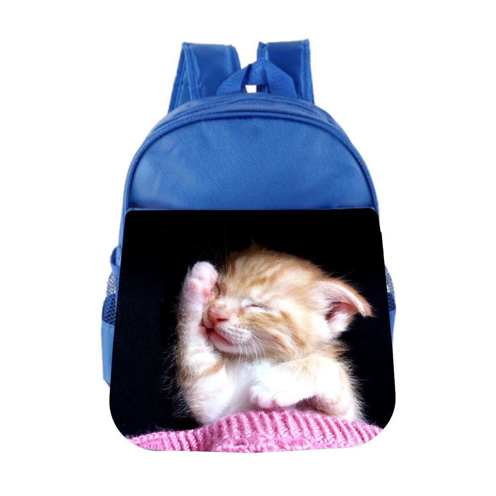 Accessory Avenue Toddler Bookbag Cat Kitty Sleeping Kitten Toddler School Bag Set Walmart
