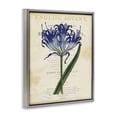 thumbnail image 2 of Stupell Industries Shabby Chic English Botany Blue Floral Gray Floating Frame Canvas Art, 25 x 31, by Susan Arnot, 2 of 8