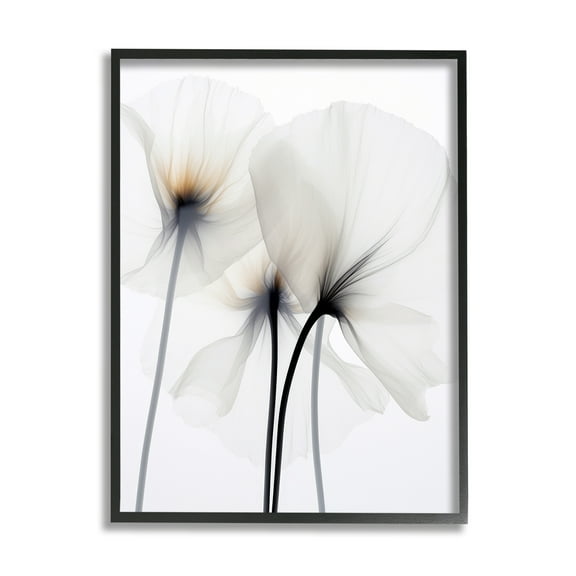 Stupell Industries White Poppy Photography Botanical & Floral Photography Black Framed Art Print Wall Art, 16 x 20