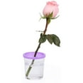 thumbnail image 4 of 12pcs Transparent Flower Arrangement Ddyeing Cup Fashion Jellyfish Cup Durable Betta Cup (Random Color), 4 of 9