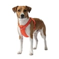 thumbnail image 2 of Oodles Polyester I Heart Walks Adjustable Step-in Dog Walking Harness Red, Small, 2 of 9