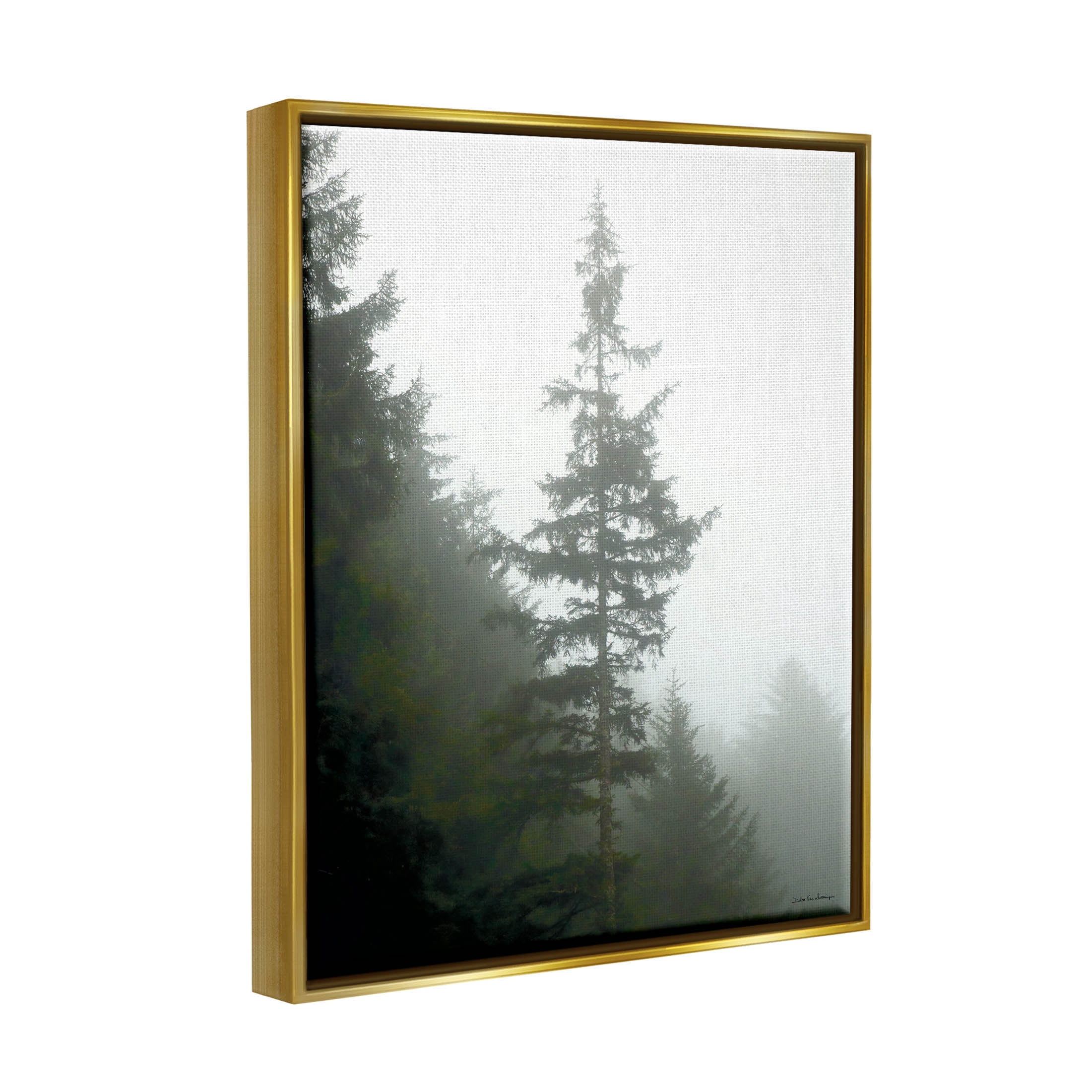 Stupell Industries Majestic Pine Foggy Forest Photograph Metallic Gold Floating Framed Canvas Print Wall Art, Design by Debra Van Swearingen