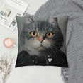 thumbnail image 2 of Orinice Cute Cat Graphic Decorative Cushion Throw Pillow Cover for Home Couch Living Room Bed Sofa, Autumn Pillowcase for Car Bedroom, 1PC 18x18in, 2 of 5