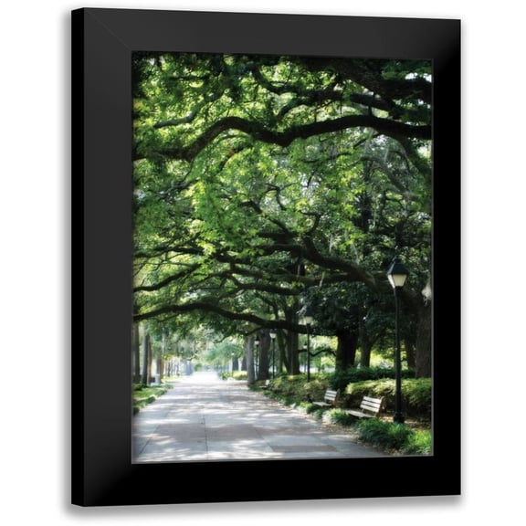 Hausenflock, Alan 11x14 Black Modern Framed Museum Art Print Titled - Savannah Sidewalk I