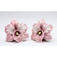 thumbnail image 3 of Hand Painted Ceramic Pink Orchid Salt and Pepper Shakers 2.5in Gift, 3 of 3