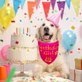 thumbnail image 2 of Dog Birthday Bandana Girl , Durable Triangle Reversible Scarf Bibs Handkerchief for Puppy Pet, Dogs Party Accessories for Small Medium Large, 2 of 6