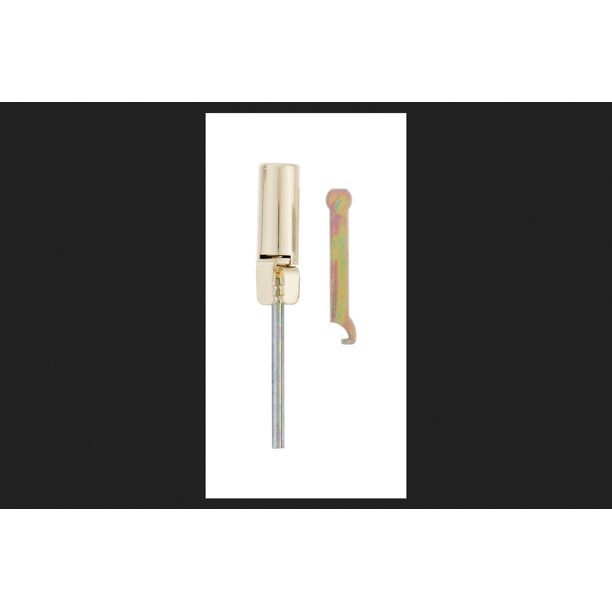 Ace Adjustable Hinge Pin Door Closer Brass