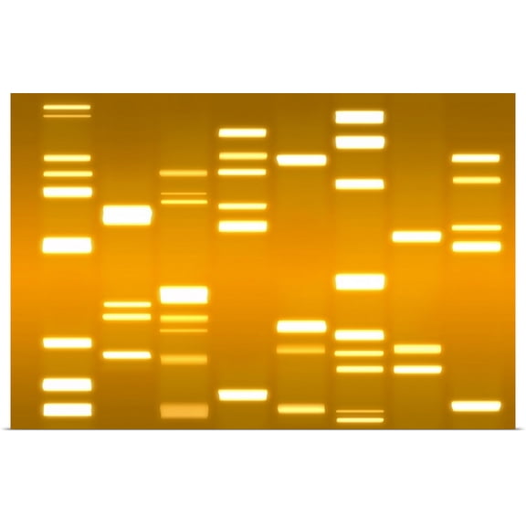 Great BIG Canvas | Rolled Michael Tompsett Poster Print entitled DNA Art Gold