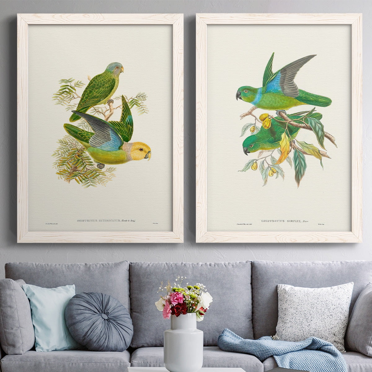 Lime & Cerulean Parrots I - Premium Framed Canvas 2 Piece Set - Ready to Hang