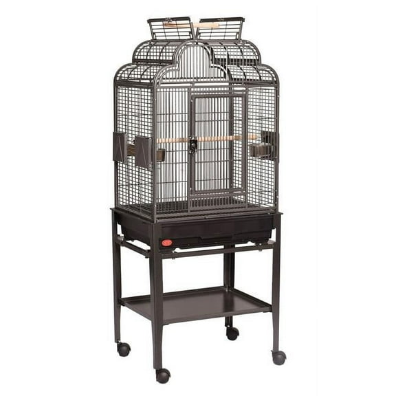 A&E Cage GA82217C HQ Black 22 x 17 in. Open Top Cage with Plastic Base, Black