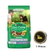 thumbnail image 1 of Dog Chow Puppy Raza Pequeña 20 kg + Mazacan Para Perro 1 pza, 1 of 3