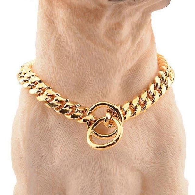 Collar de cadena de estrangulamiento para perros dorado, resistente, para control de perros