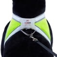 thumbnail image 3 of Noxgear LightHound â Revolutionary Illuminated and Reflective Harness for Dogs Including Multicolored LED Fiber Optics (USB Rechargeable, Adjustable, Lightweight, Rainproof) (Large), 3 of 9