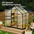 thumbnail image 2 of Fairy 6x4 FT Walk-in Greenhouse, Aluminum Frame Outdoor Green House with Polycarbonate Panels & Roof Vent for Backyard Gardening, 2 of 9