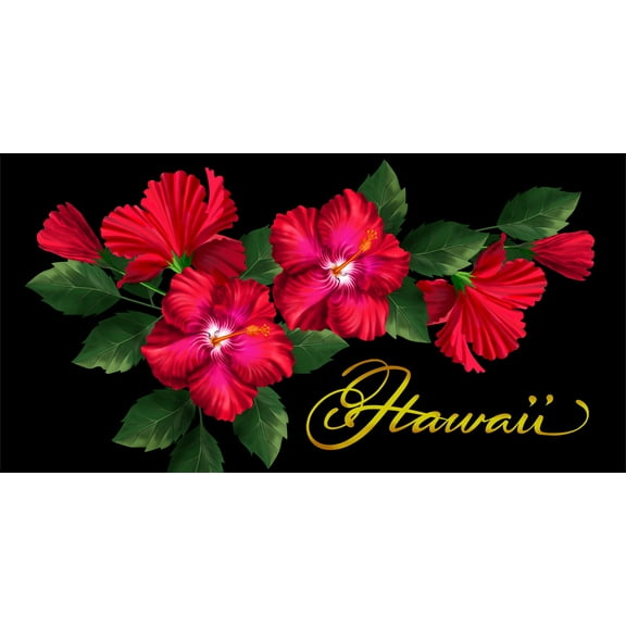 Ajw, Inc Beach Towel Tc10