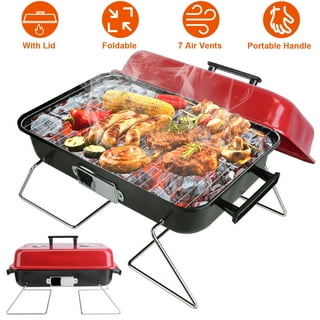 Portable Mini Gas Oven 30 Liter, Camping Grill 1.3kW Timer Con Carrying Bag