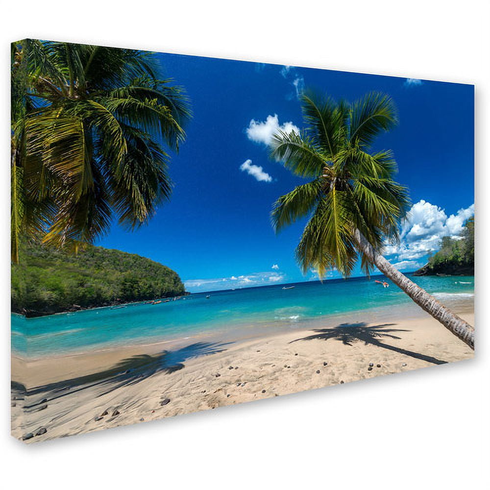 Trademark Fine Art "Martinique" Canvas Art by Mathieu Rivrin