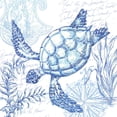 thumbnail image 2 of Tre Sorelle Studios 15x15 Black Ornate Wood Framed with Double Matting Museum Art Print Titled - Coastal Sketchbook Turtle, 2 of 4