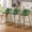 Green, variant on Aufeile 26" Counter Height Bar Stools Set of 2 – Modern Faux Leather Barstools with Back & Metal Legs, Kitchen Bar Chairs for Island, Dining Room, Green